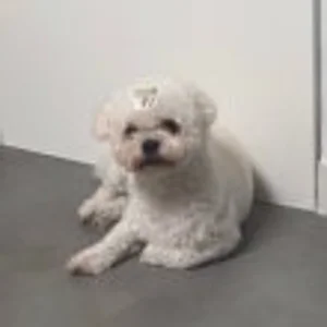 HJY 프로필 이미지